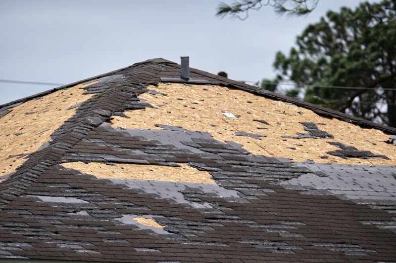 Roof Repair Work